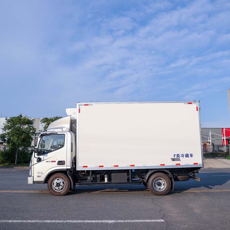 Foton 4X2 refrigerated frozen Van Cargo Box Food Truck