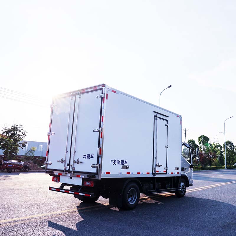 Foton 4X2 refrigerated frozen Van Cargo Box Food Truck